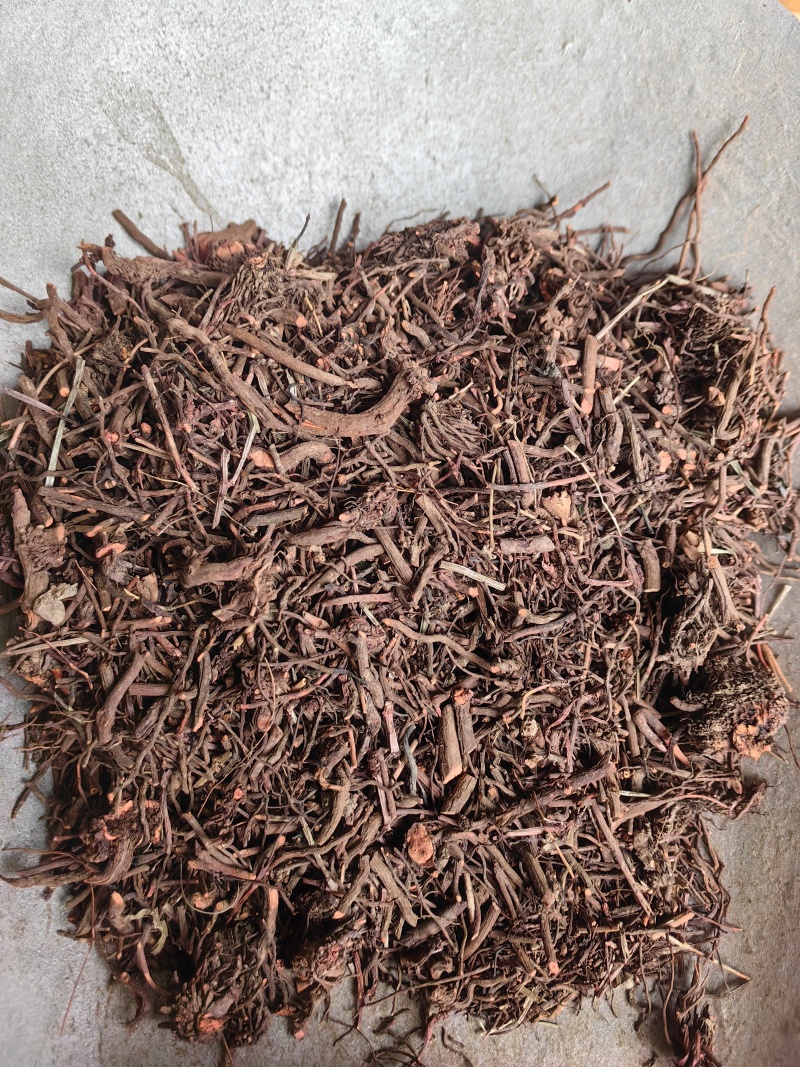 茜草红茜草中药血见愁水洗货云南货山东货产地直销