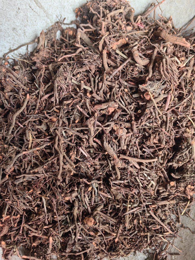 茜草红茜草中药血见愁水洗货云南货山东货产地直销
