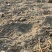 农业用地，林地，地址新疆吐鲁番市，有需求的老板来电咨询…