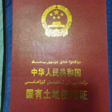 农业用地，林地，地址新疆吐鲁番市，有需求的老板来电咨询…