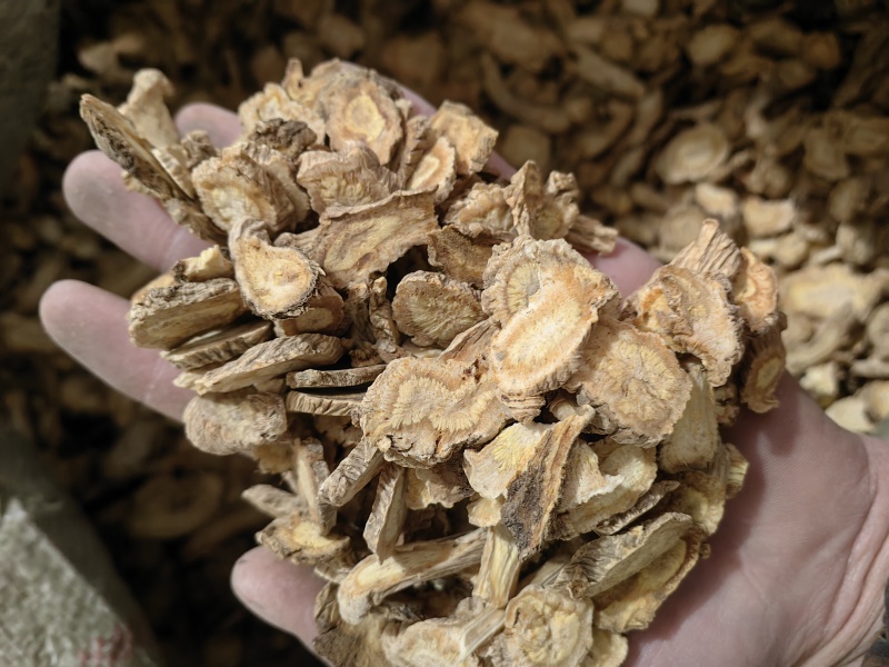 防风同奎中药材批发量大从优河北防风口防风批发各种中