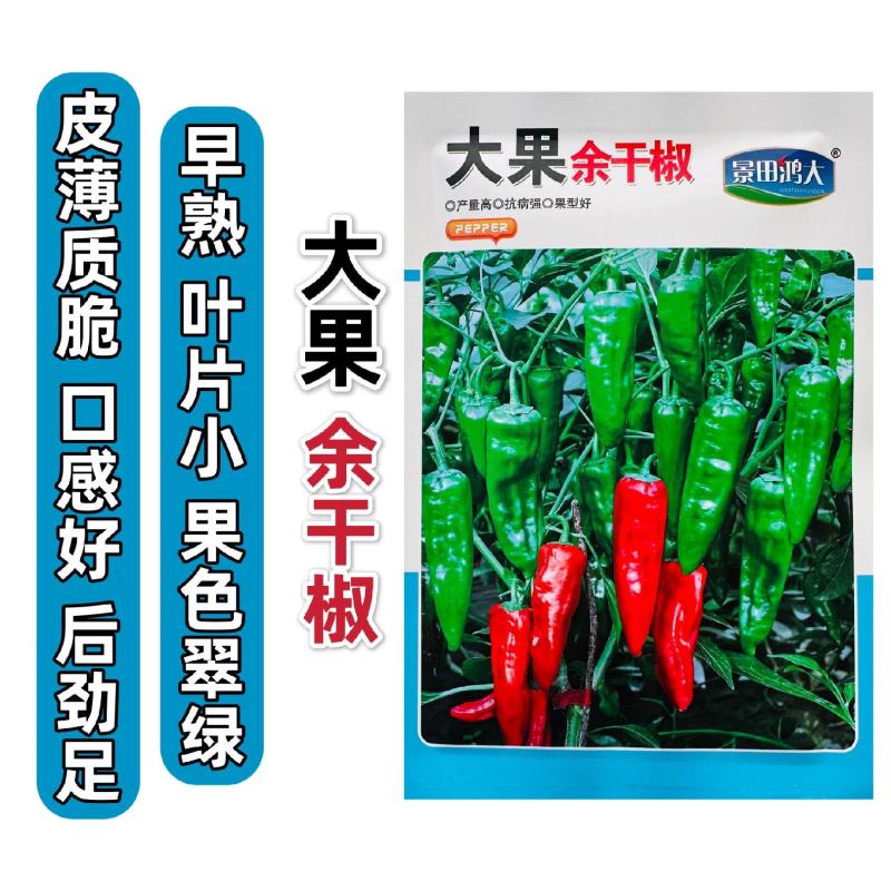 薄皮香辣大果余干椒种子早熟肉厚皮薄味香辛辣适中口感好