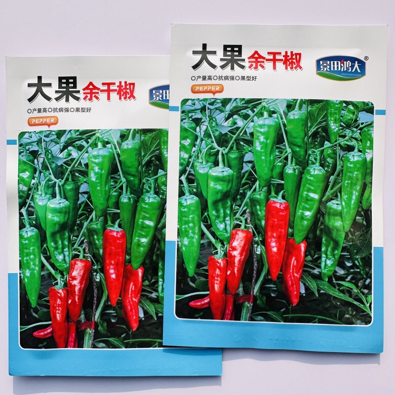 薄皮香辣大果余干椒种子早熟肉厚皮薄味香辛辣适中口感好