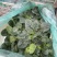 爬地圆叶菠菜大量上市，量大从优欢迎咨询
