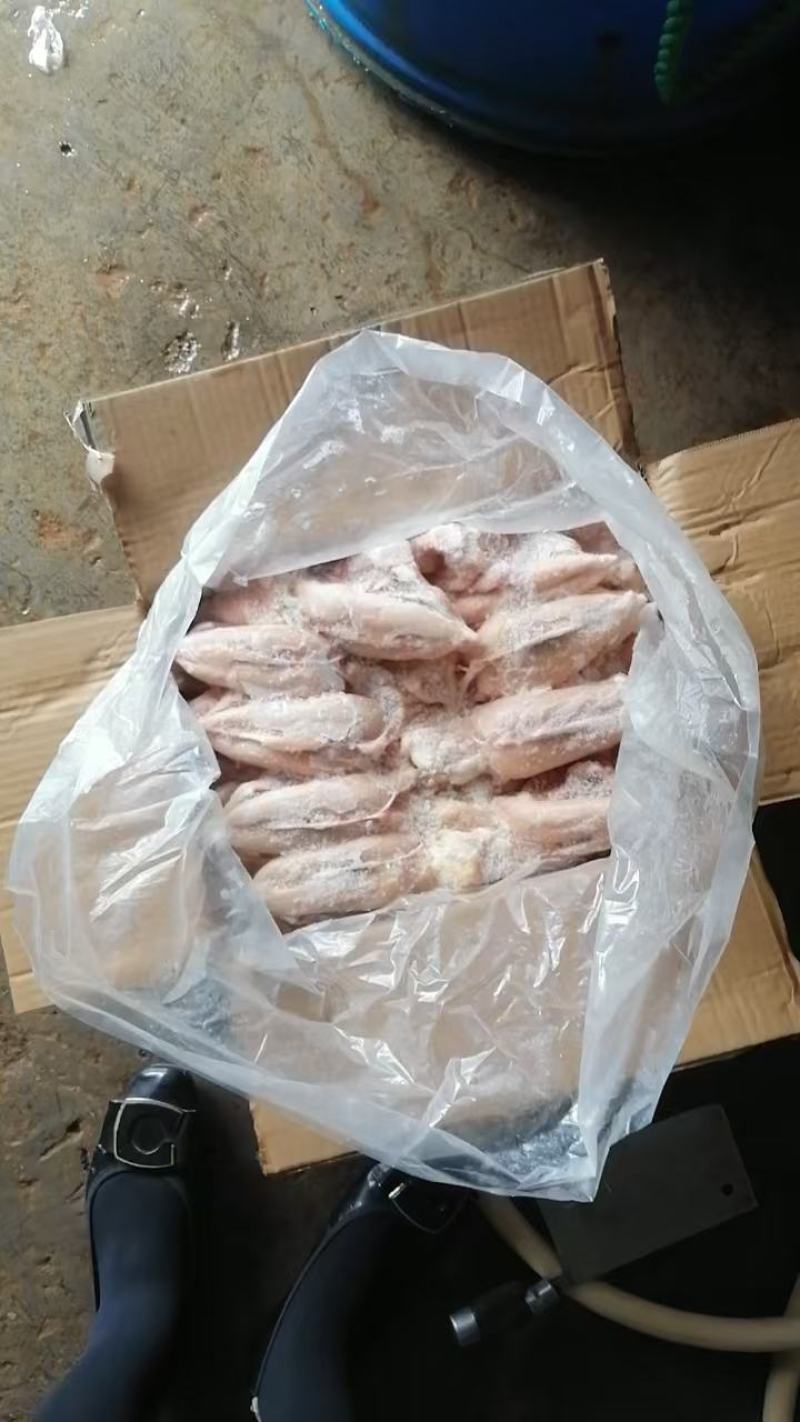 小胸架，高品质低价格装车可验货，厂家直发，欢迎选购