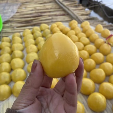 东北粘豆包