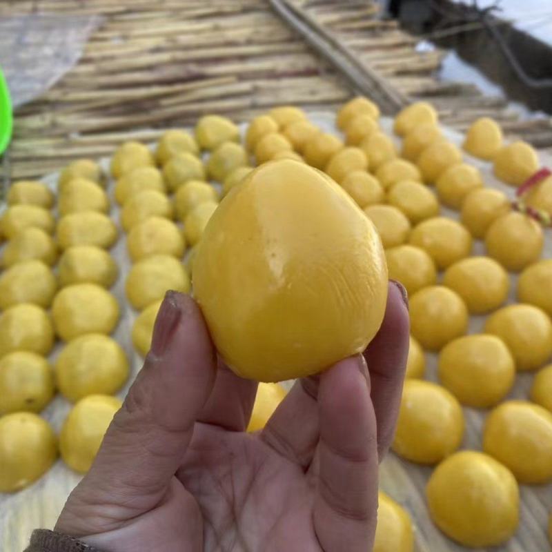 东北粘豆包