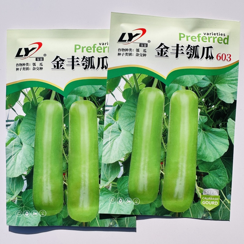 金丰瓠瓜种子中短棒形杂交瓠子瓜种子春秋油亮蒲瓜种子高产