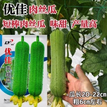 绿盈优佳肉丝瓜种子味甜早熟短棒丝瓜种子产量高庭院大田蔬菜