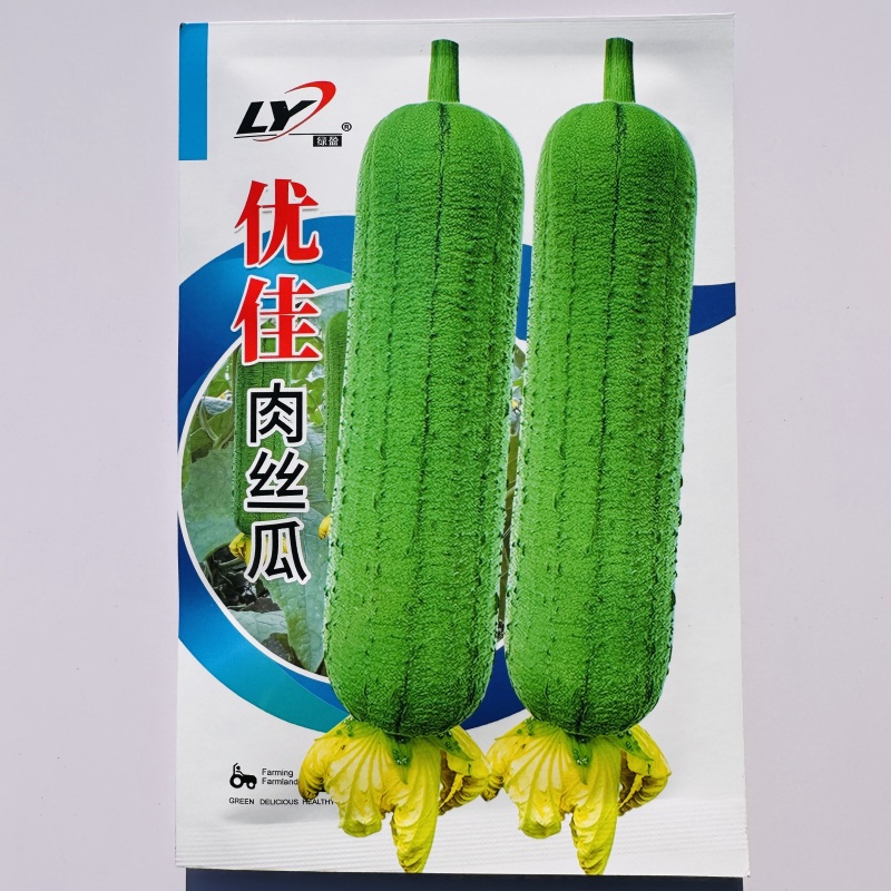 绿盈优佳肉丝瓜种子味甜早熟短棒丝瓜种子产量高庭院大田蔬菜
