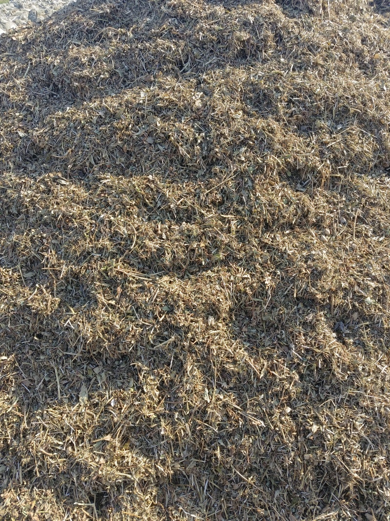 山东菏泽花生秧草料，新干料无杂志色好，货量充足视频看货