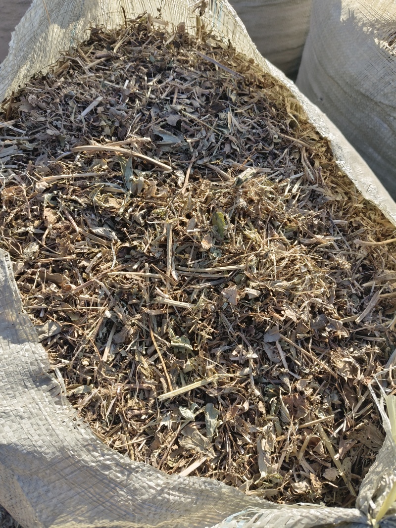 山东菏泽花生秧草料，新干料无杂志色好，货量充足视频看货
