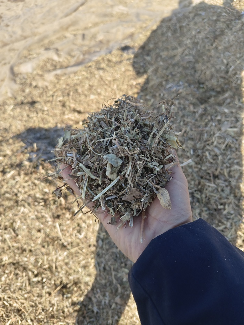 山东菏泽花生秧草料，新干料无杂志色好，货量充足视频看货