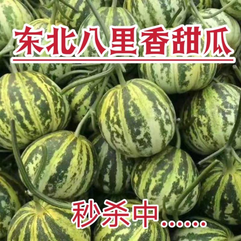 东北绿宝石甜瓜，大量现货欢迎合作，支持各渠道定制，线上线