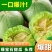 东北绿宝石甜瓜，大量现货欢迎合作，支持各渠道定制，线上线