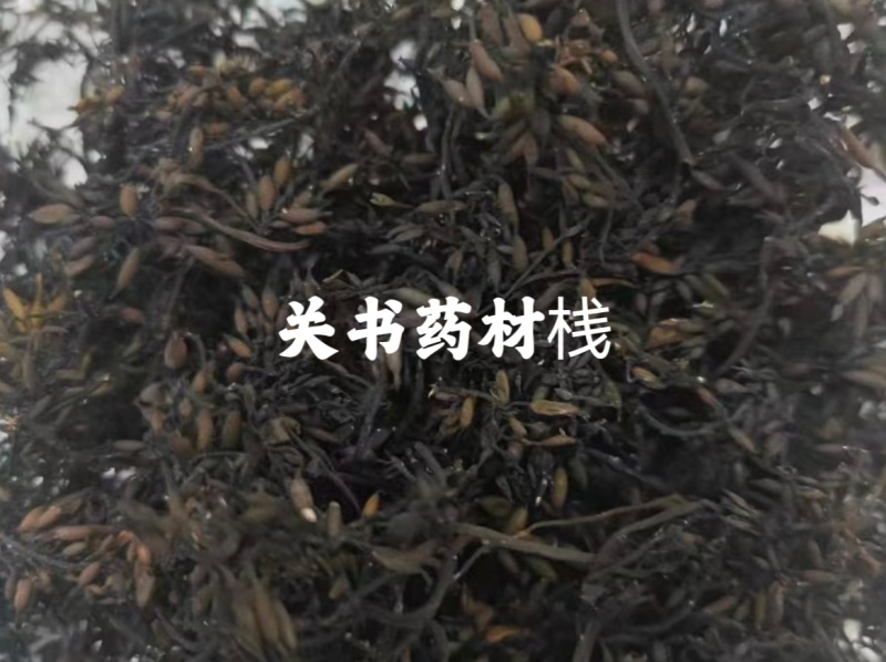 海藻，水洗海藻无杂质关书药业批发中药材规格齐品质**质量