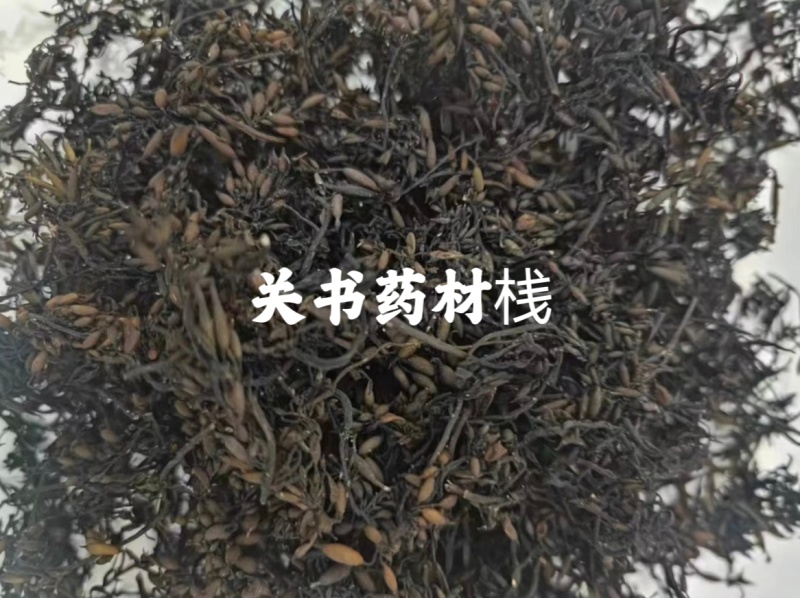 海藻，水洗海藻无杂质关书药业批发中药材规格齐品质**质量
