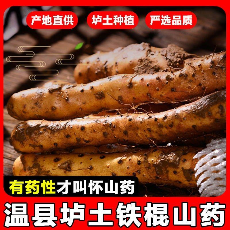 温县怀甄垆土地铁棍山药鲜山药精选
