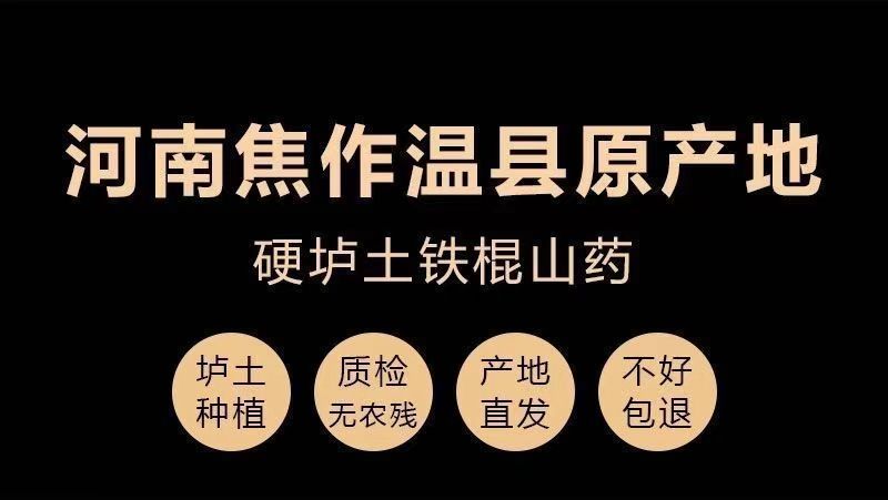 温县怀甄垆土地铁棍山药鲜山药精选