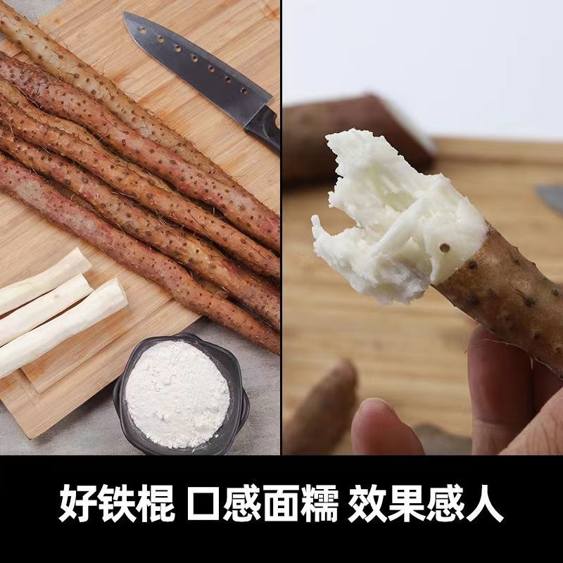 温县怀甄垆土地铁棍山药鲜山药精选