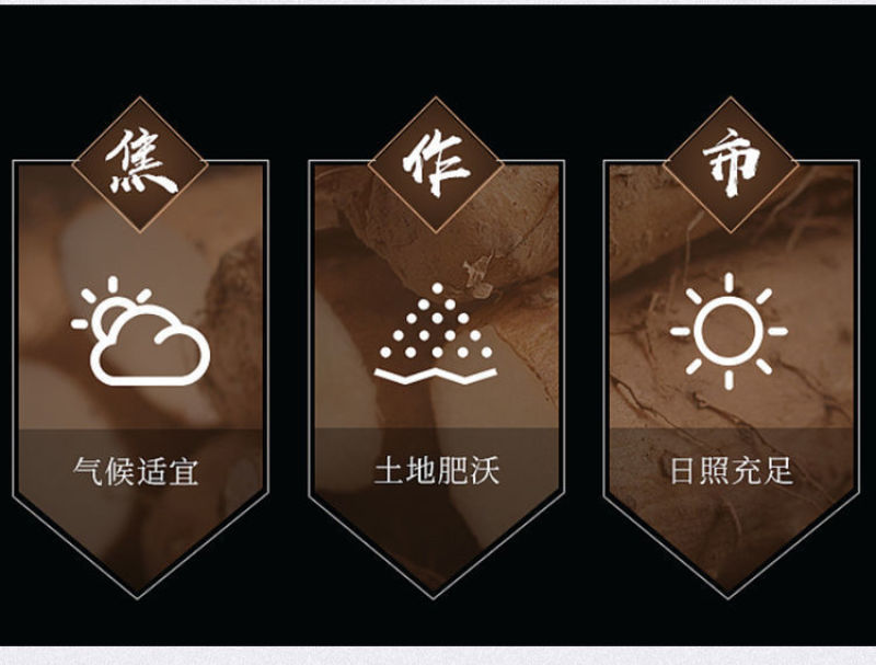 温县怀甄垆土地铁棍山药鲜山药精选