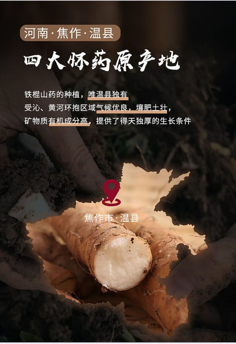 温县怀甄垆土地铁棍山药鲜山药精选