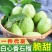 白心软芭乐番石榴产地直发工厂榨汁批发电商一件代发大量现货