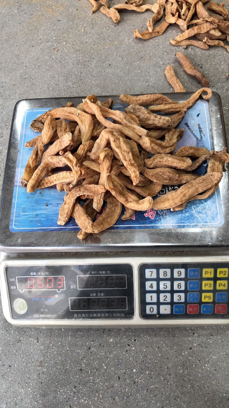 天麻小果四级天麻批发，大别山罗田天麻黄天麻干货50个左右