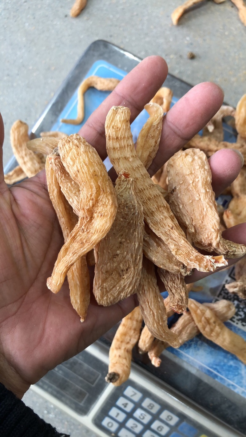 天麻小果四级天麻批发，大别山罗田天麻黄天麻干货50个左右