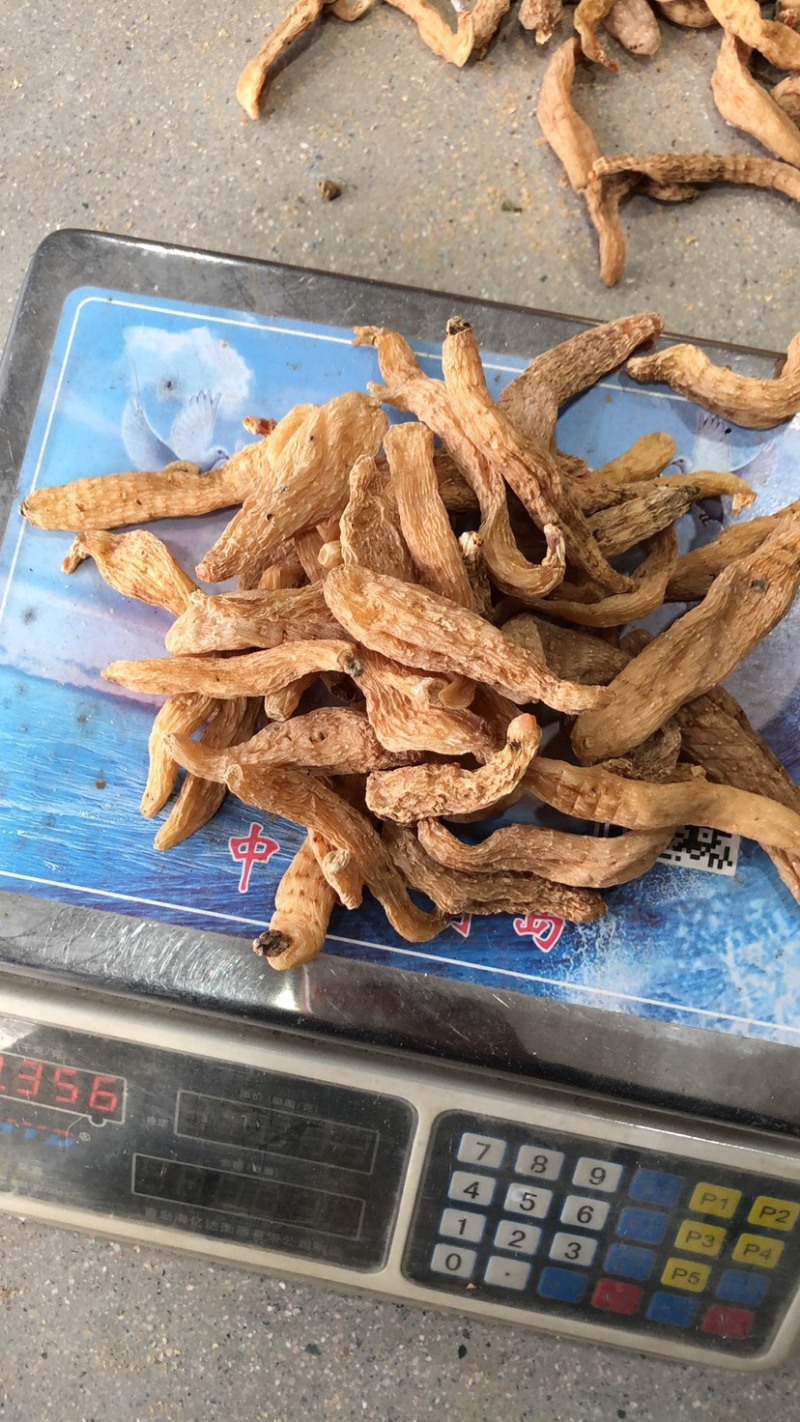 天麻小果四级天麻批发，大别山罗田天麻黄天麻干货50个左右