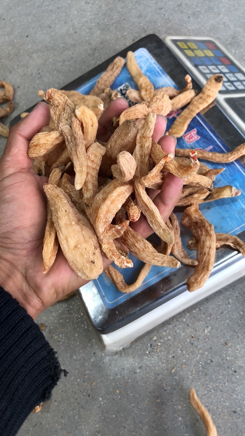 天麻小果四级天麻批发，大别山罗田天麻黄天麻干货50个左右