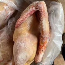 红头雁规格齐全低至190一箱