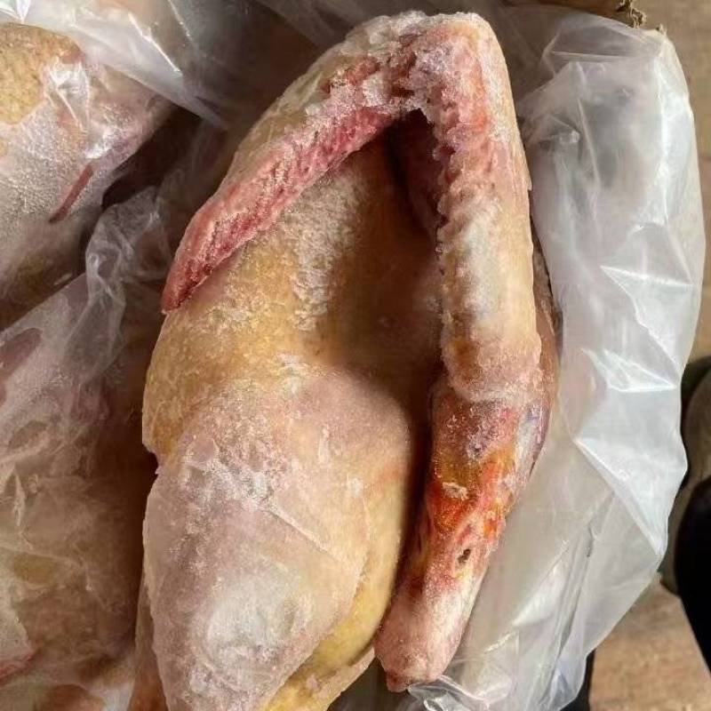 红头雁规格齐全低至190一箱