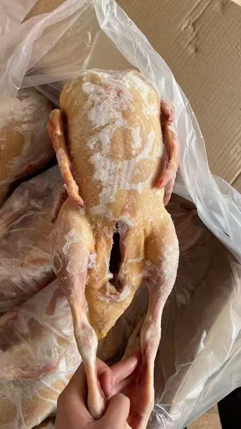 红头雁规格齐全低至190一箱