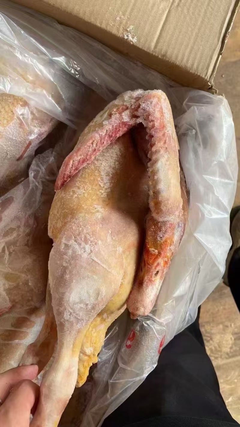 红头雁规格齐全低至190一箱