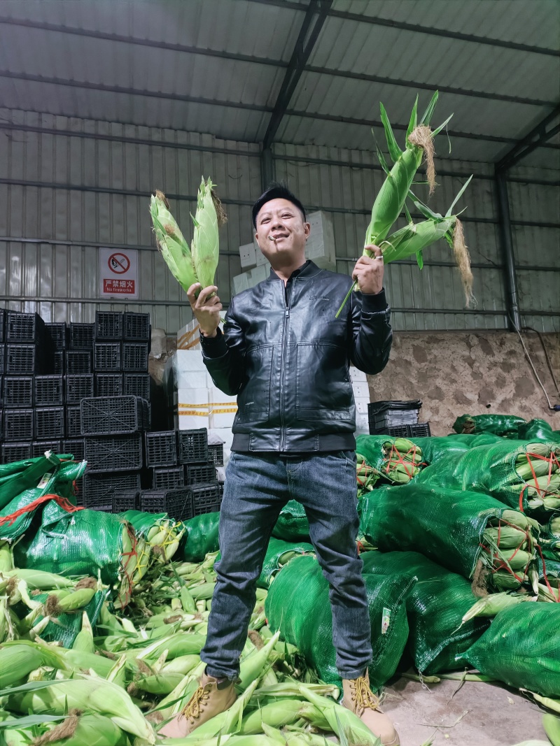 鲜玉米