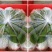 红心芭乐精选番石榴，新鲜现摘红心番石榴芭乐产地直发