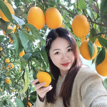 2025季新鲜奉节脐橙