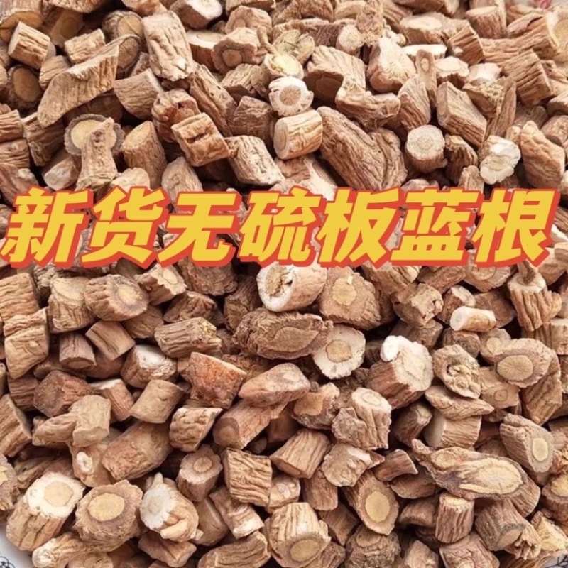 板蓝根批发中药材正品板蓝根板篮根干片段