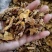 射干片无硫一手货源零售批发产地直发量大从优