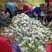 广东白心芭乐番石榴产地直发工厂榨汁电商一件代发批发现货