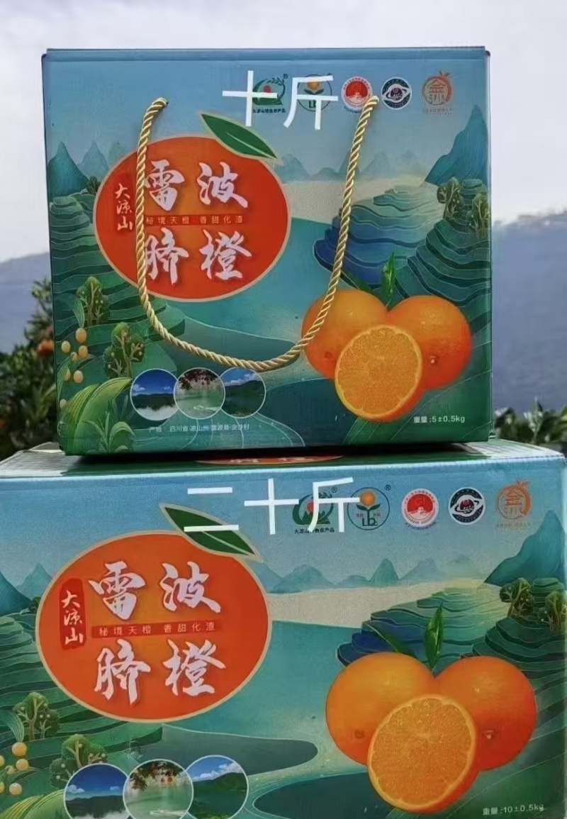 【精选】四川雷波脐橙一手货源供应市场商超电商量大价优
