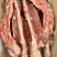 满肉羊蝎子