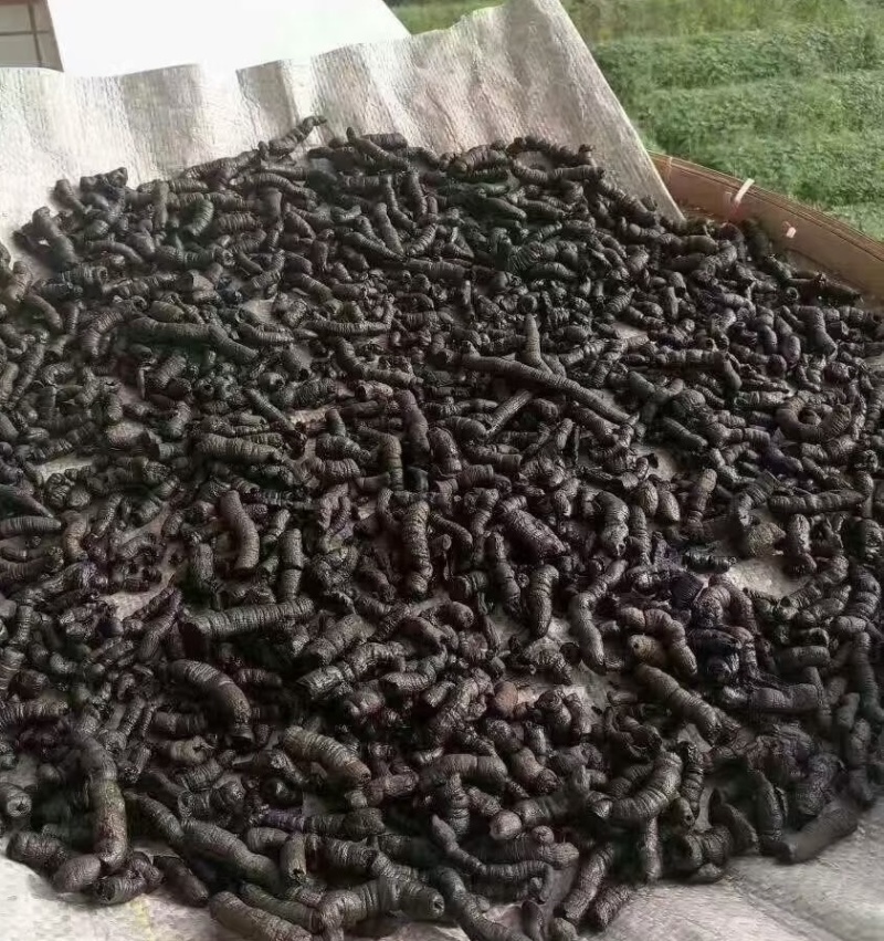 一手货源...靶戟天产地直供量大从优