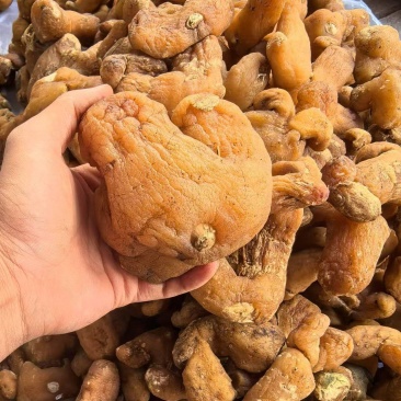 精品黄精大小规格都有