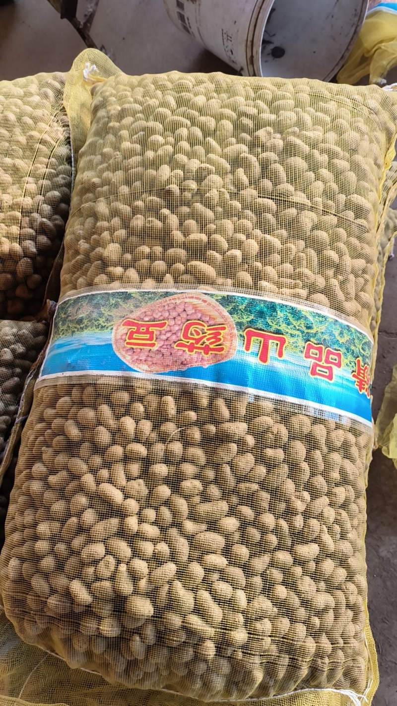 青州市山药豆产地直发规格齐全量大的优惠，常年批发零售