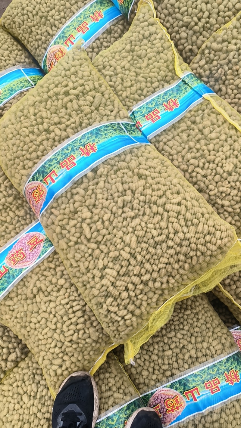 青州市山药豆产地直发规格齐全量大的优惠，常年批发零售