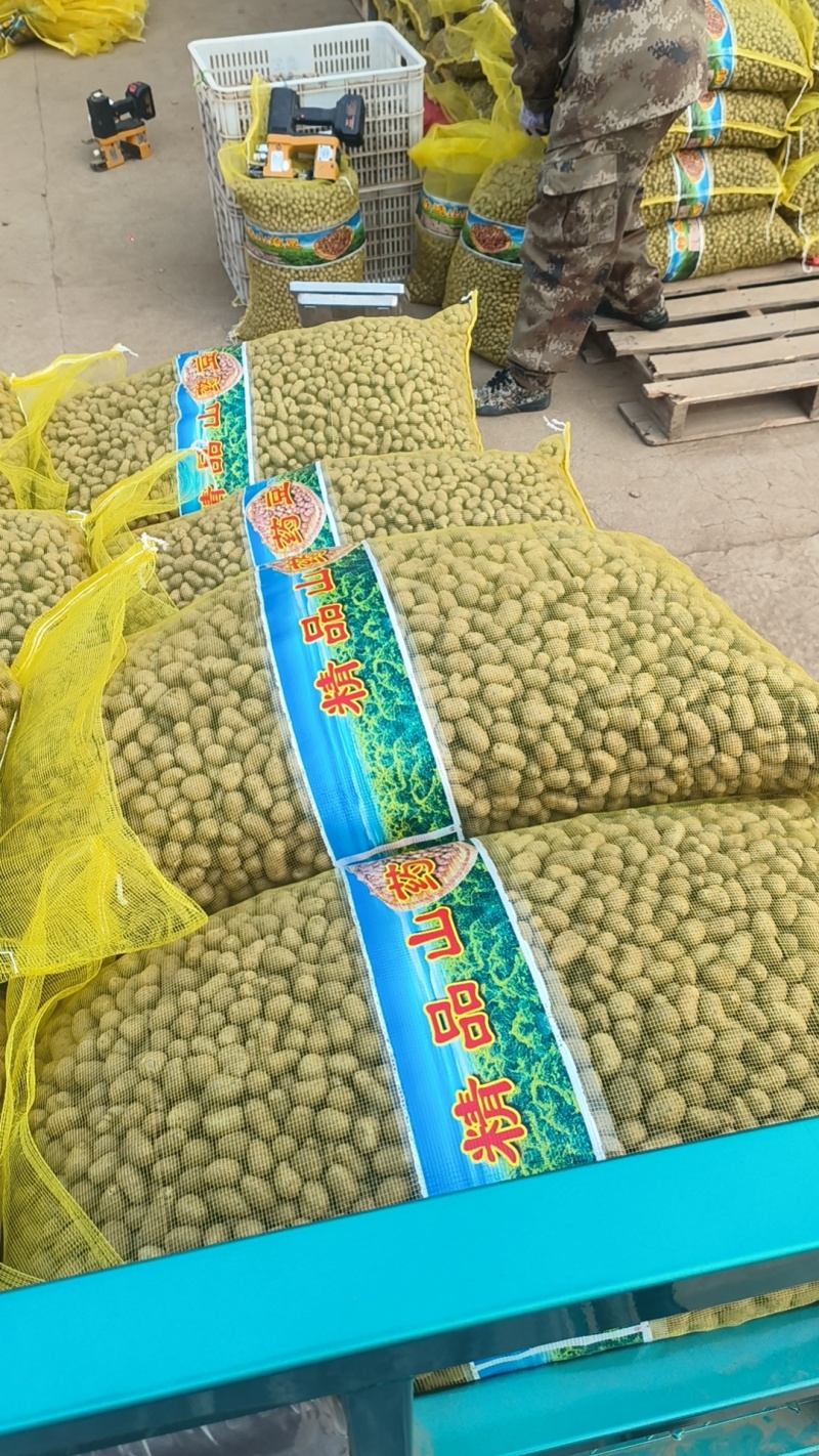 青州市山药豆产地直发规格齐全量大的优惠，常年批发零售