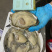 生蚝牡蛎特大单只4-6两大肥蚝