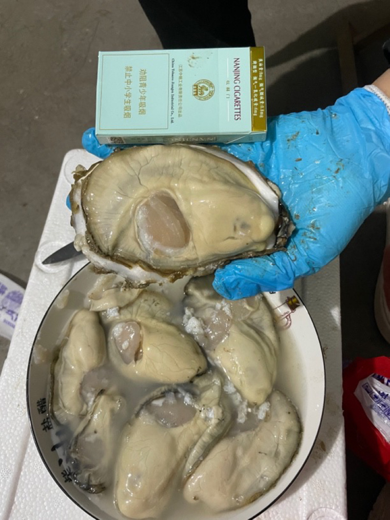 生蚝牡蛎特大单只4-6两大肥蚝